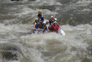  Rapid levels 